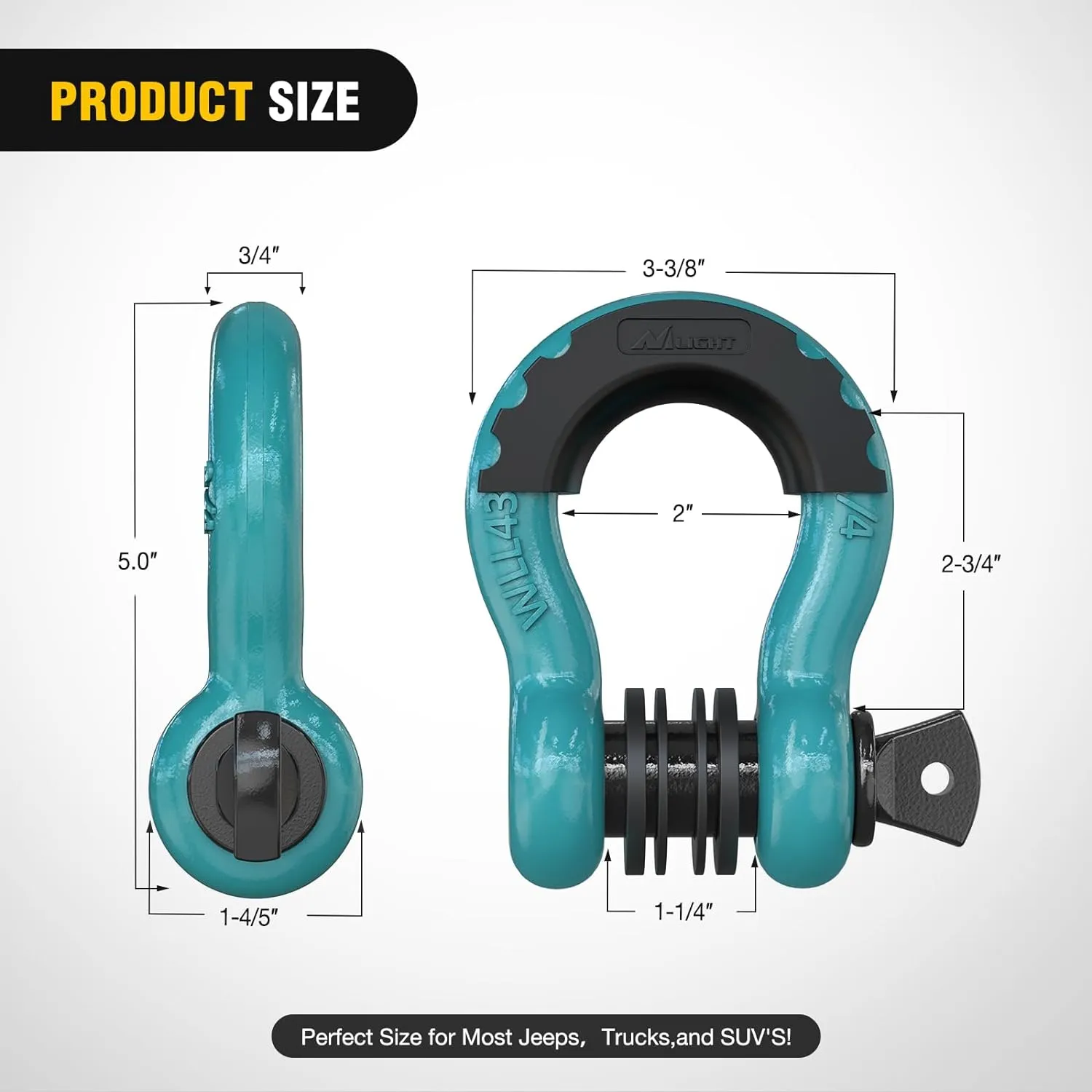 3/4 inch D-Ring Shackle Teal (Pair)