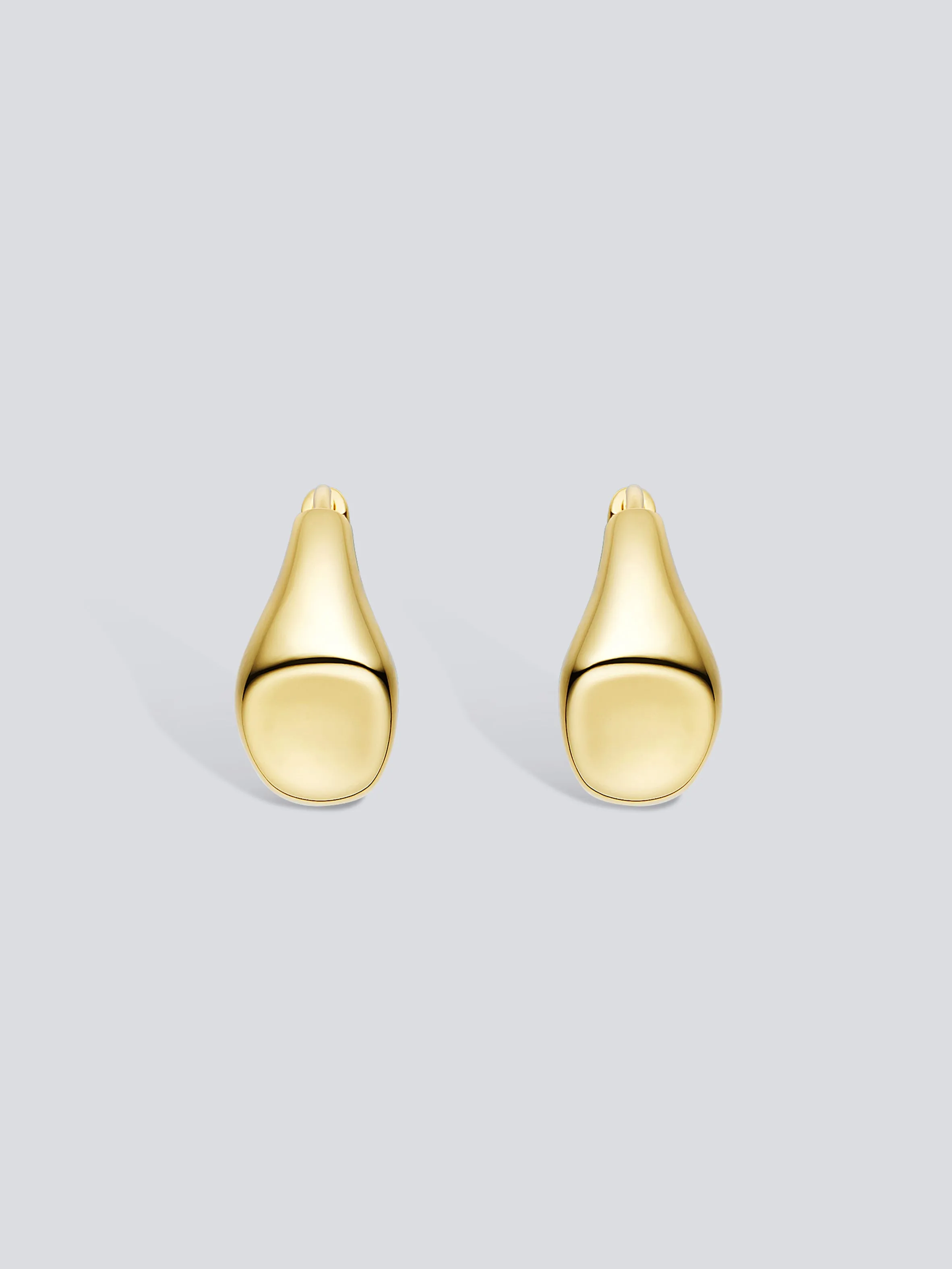 Signet Hoop Earrings